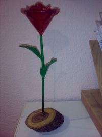 Flores