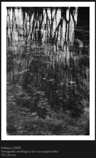 Reflejos