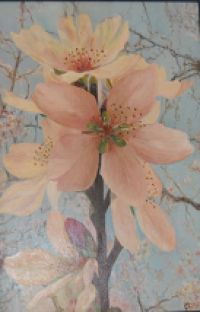 Flor de Almendro