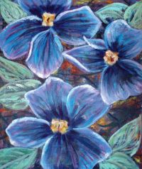 Flores
