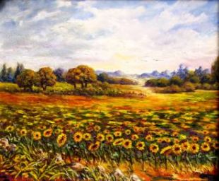 Campo de girasoles